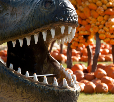 Man sieht das Maul des Tyranosaurus sehr nahe. Im Hintergrund liegen viele Kürbisse auf dem Boden und andere sind an einem Stamm befestigt. So sehen sie aus wie orangefarbene Bäume.