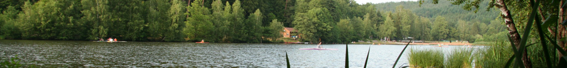 Ein Ausblick auf den Gelterswoog vom Schilf aus. Auf dem See fahren Sportbegeisterte mit Kanus.
