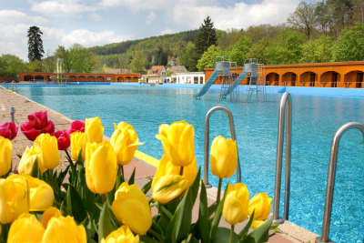 Frühlingshafte Tulpen umrahmen das noch geschlossene Freibad. Die große Wasseroberfläche kräuselt sich leicht im Wind.