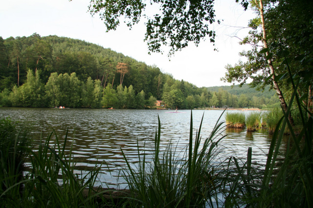 Ein Ausblick auf den Gelterswoog vom Schilf aus. Auf dem See fahren Sportbegeisterte mit Kanus. © Stadt Kaiserslautern