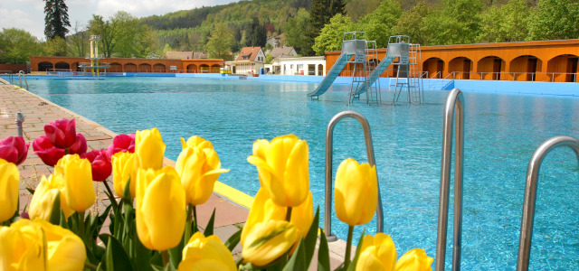 Frühlingshafte Tulpen umrahmen das noch geschlossene Freibad. Die große Wasseroberfläche kräuselt sich leicht im Wind.
