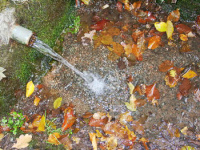 Fließendes Wasser kommt von einer Quelle über ein Rohr aus der Erde. Es plätschert auf den Waldboden, wo es sich sammelt.