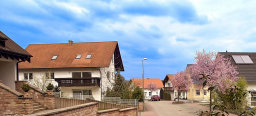 Kollage mit verschiedenen Hausansichten zwischen blühenden Frühlingssträuchern in der Straße 'Am Glasberg'