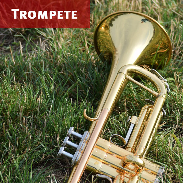 Trompete