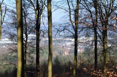 Blick auf Einsiedlerhof