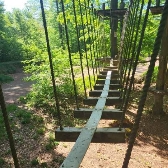 TiLu Adventure Kletterwald