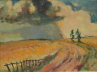 Die drohenden Regenwolken werfen einen Schatten auf das, von der Sonne beschienene, sommerlich-leuchtende Feld.