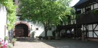 Der grüne Innenhof des Theodor-Zink-Museums. Der Kastanienbaum ist mittlerweile sehr ausladend und spendet Schatten.