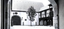 Der Innenhof des sanierten Theodor-Zink-Museums. Der hier gepflanze Baum reichte gerade mal bis zum Dach.