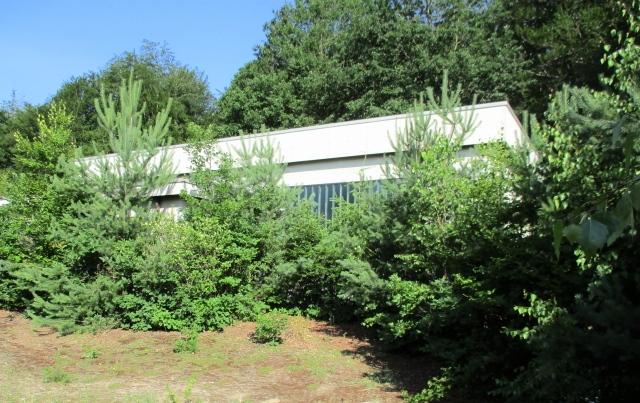 Turnhalle am Bürger-Büsing-Haus © Stadt Kaiserslautern