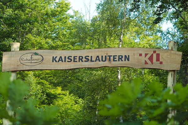 Bestattungswald / Ruheforst