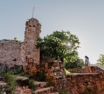 Burg Hohenecken