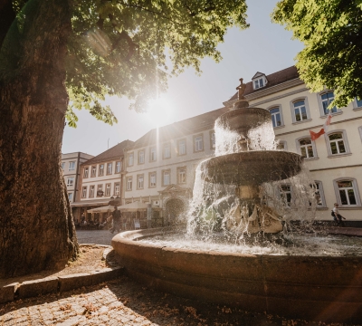Thomas Linkel, Lizenz CC-BY Martinsbrunnen