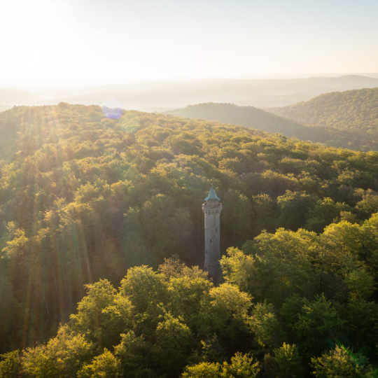 Blick aus der Luft auf den Humbergturm und den darumliegenden Pfälzerwald.