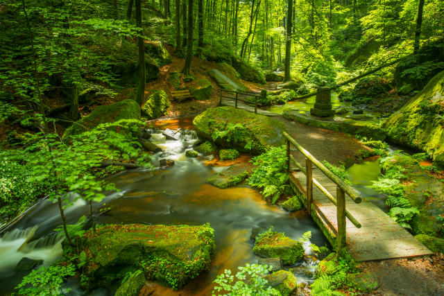 Karlstal © Anna Wojtas