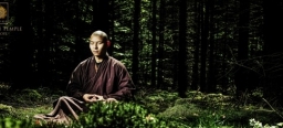 Shaolin Temple Europe