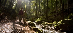 Blick in die Karlstalschlucht. Links sieht man zwei Wanderer, in der Mitte einen Bach. Die Schlucht ist gesäumt von Bäumen.