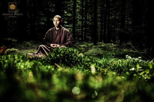 Shaolin Temple Europe © Shaolin Temple Europe