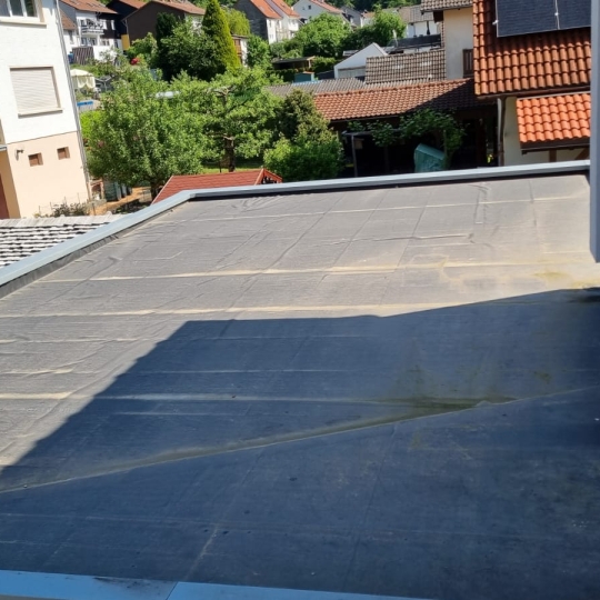 Garagendach vor Begrünung.