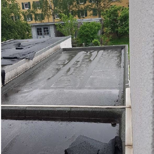 Garagendach vor Begrünung
