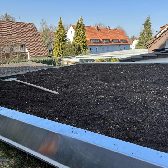 Begrüntes Dach. DIe Begrünung erfolgt im Rahmen des kommunalen Förderprogrammes 
