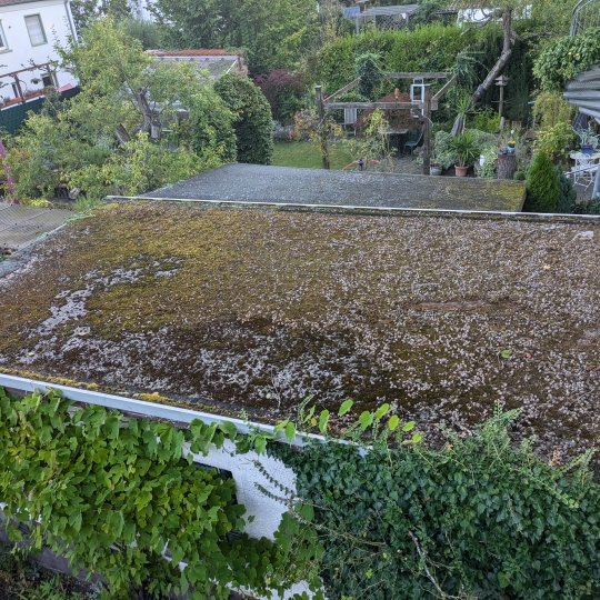 Garagendach vor Begrünung