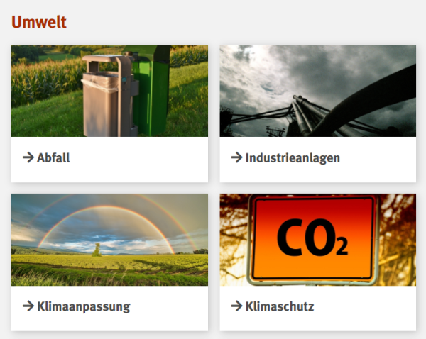 Ausschnitt der Homepage Referat 15