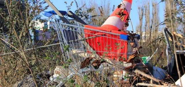 Zu sehen ist eine illegale Müllablagerung im Gebüsch.