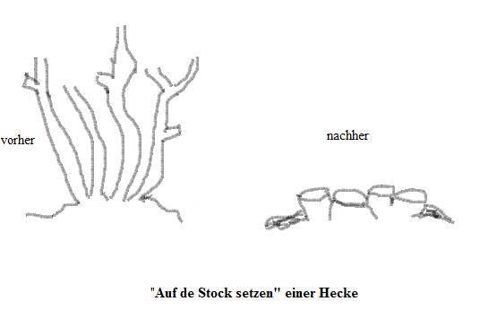 Aufstock